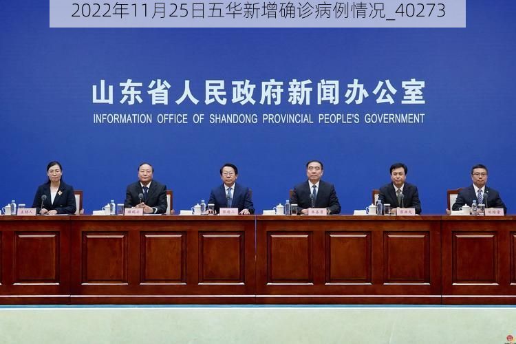 2022年11月25日五华新增确诊病例情况_40273