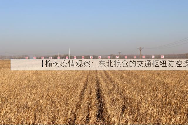 【榆树疫情观察:东北粮仓的交通枢纽防控战】