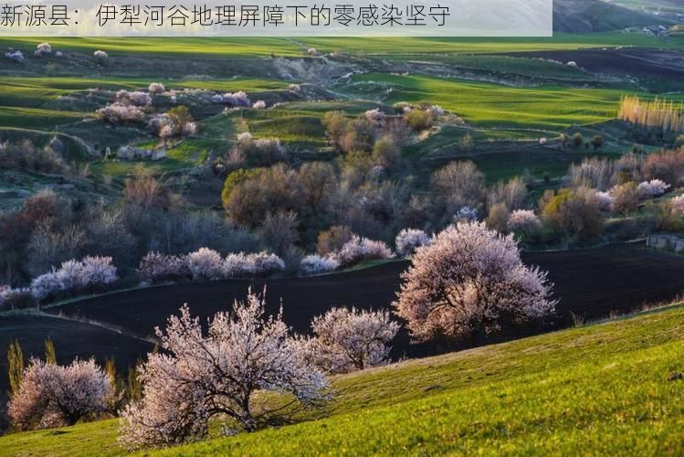 日常科普 第14页