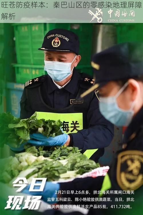 旺苍防疫样本：秦巴山区的零感染地理屏障解析