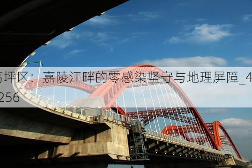 高坪区：嘉陵江畔的零感染坚守与地理屏障_49256