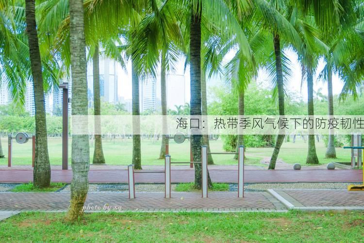 海口:热带季风气候下的防疫韧性