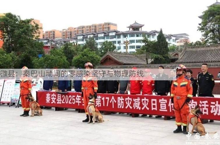 徽县：秦巴山坳间的零感染坚守与物理防线