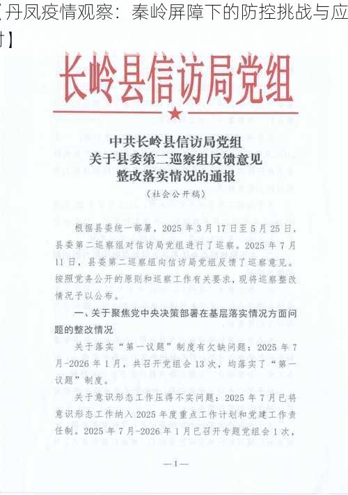 【丹凤疫情观察：秦岭屏障下的防控挑战与应对】