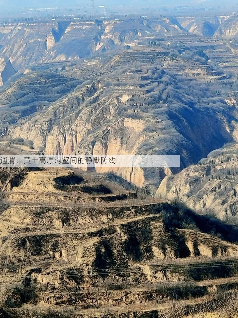 通渭：黄土高原沟壑间的静默防线