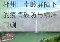 郴州：南岭屏障下的疫情破防与精准围剿