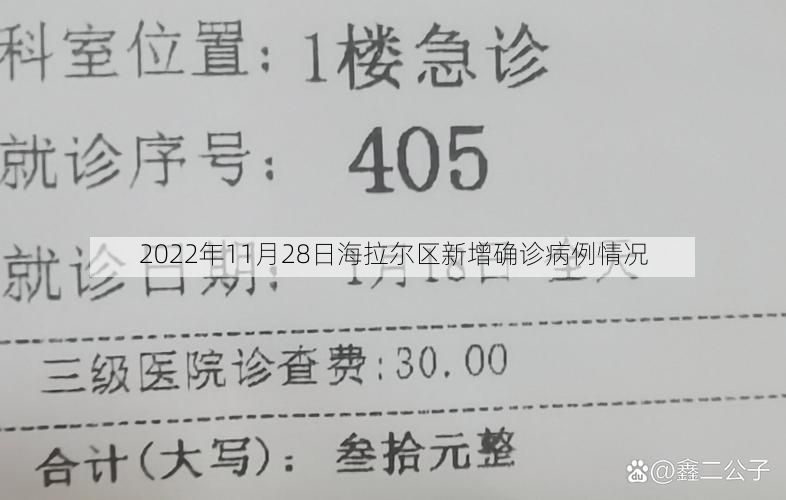 2022年11月28日海拉尔区新增确诊病例情况
