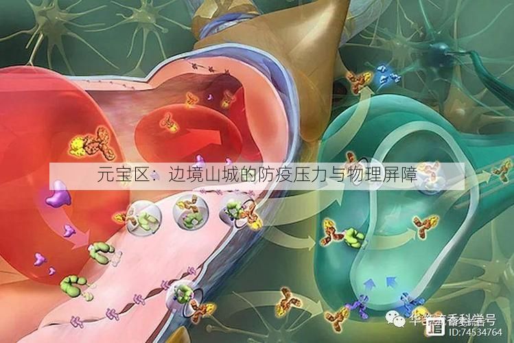 元宝区：边境山城的防疫压力与物理屏障