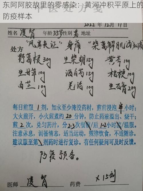 东阿阿胶故里的零感染：黄河冲积平原上的防疫样本