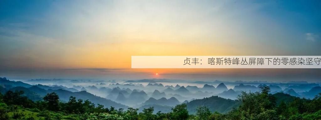 贞丰：喀斯特峰丛屏障下的零感染坚守
