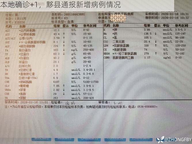 日常新闻 第6页