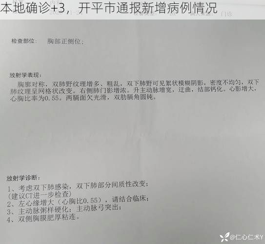 本地确诊+3，开平市通报新增病例情况
