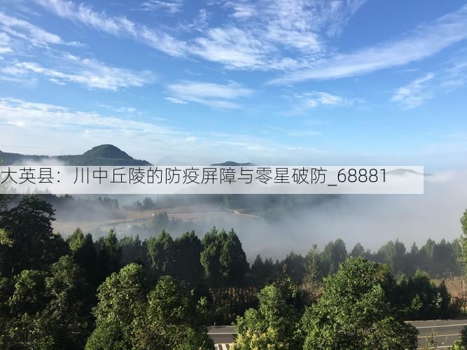 大英县：川中丘陵的防疫屏障与零星破防_68881