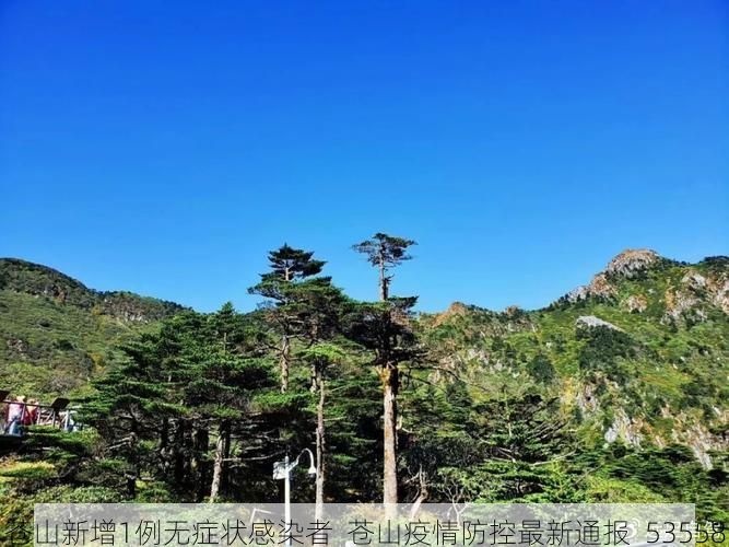 苍山新增1例无症状感染者  苍山疫情防控最新通报_53558
