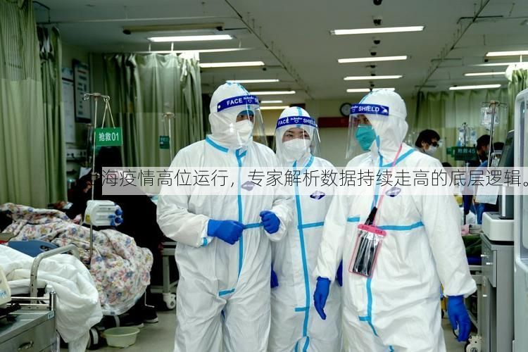 上海疫情高位运行，专家解析数据持续走高的底层逻辑。