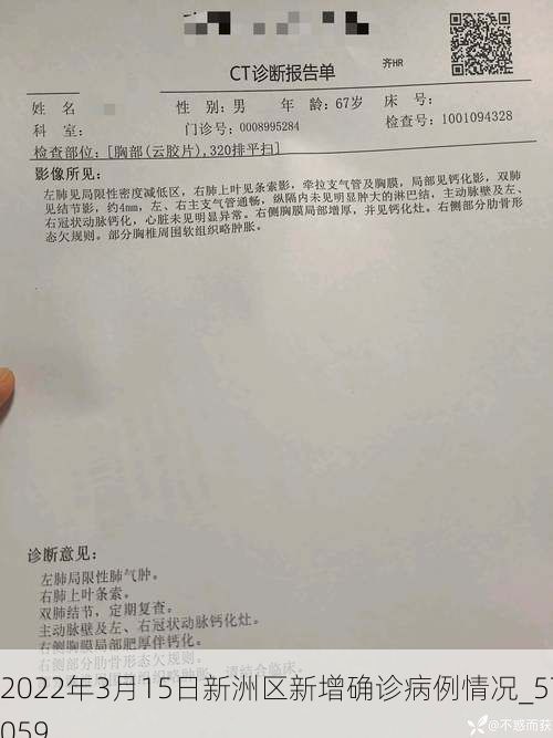 2022年3月15日新洲区新增确诊病例情况_57059
