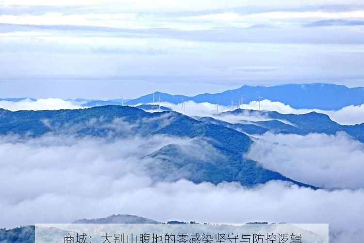 商城：大别山腹地的零感染坚守与防控逻辑