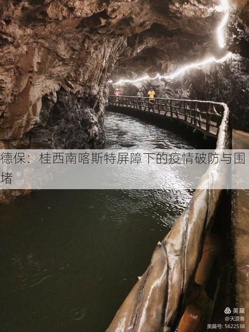 德保：桂西南喀斯特屏障下的疫情破防与围堵