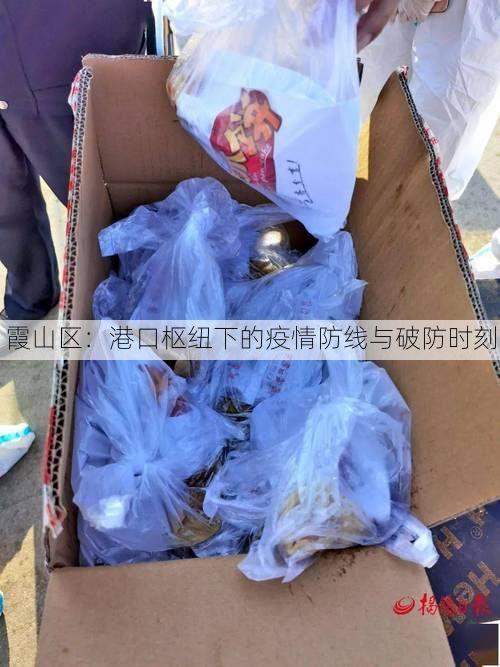 霞山区：港口枢纽下的疫情防线与破防时刻