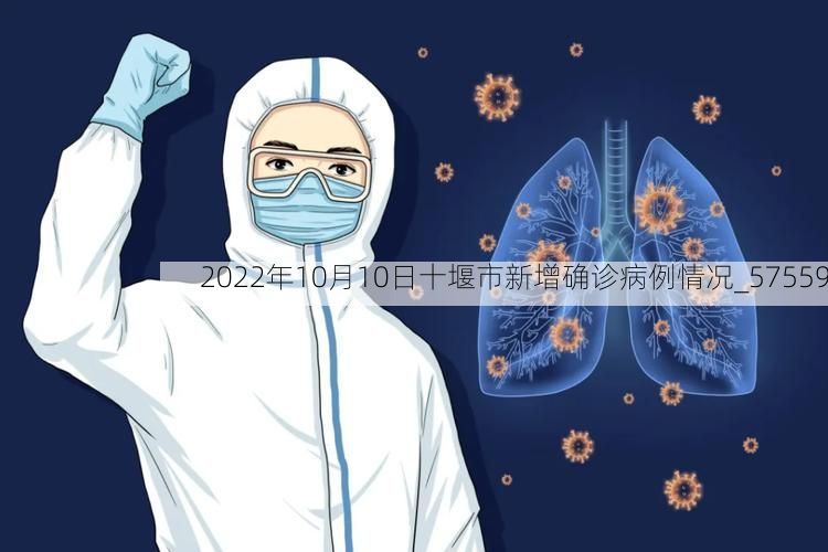 2022年10月10日十堰市新增确诊病例情况_57559