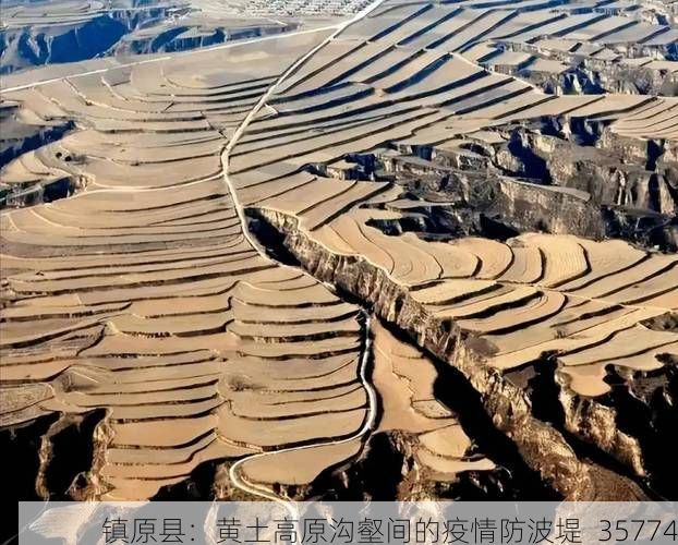 镇原县：黄土高原沟壑间的疫情防波堤_35774
