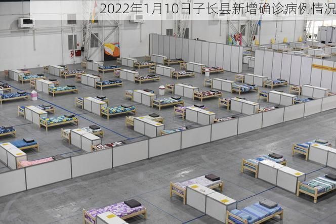 2022年1月10日子长县新增确诊病例情况