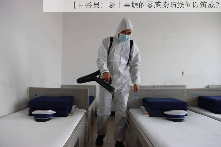 【甘谷县：陇上旱塬的零感染防线何以筑成？】