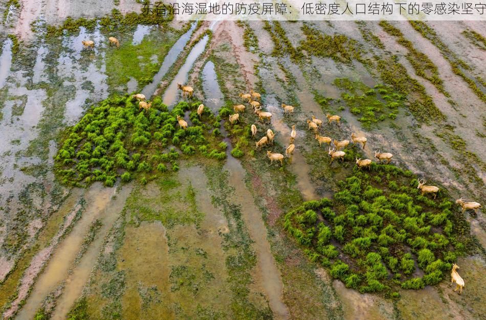 东台沿海湿地的防疫屏障：低密度人口结构下的零感染坚守