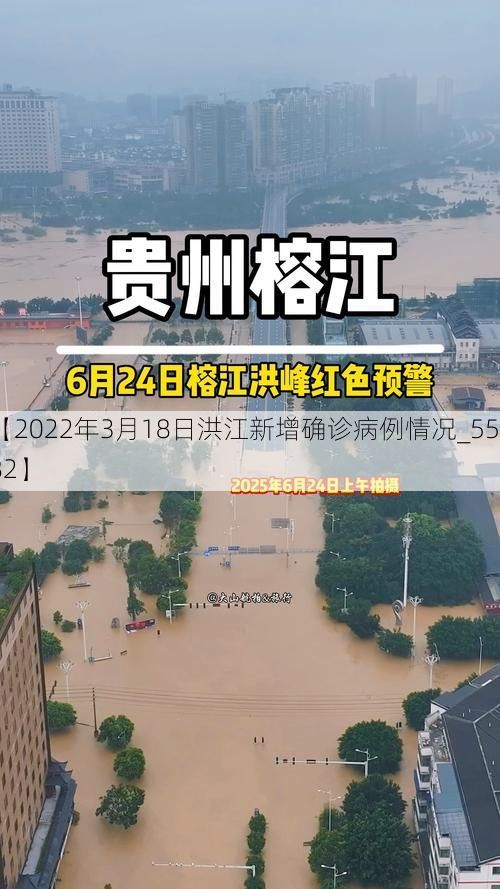 【2022年3月18日洪江新增确诊病例情况_55282】