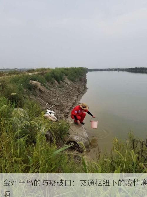 金州半岛的防疫破口：交通枢纽下的疫情溯源