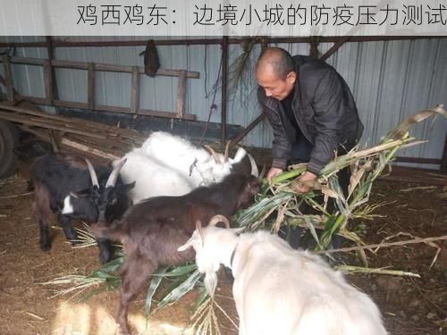 鸡西鸡东：边境小城的防疫压力测试