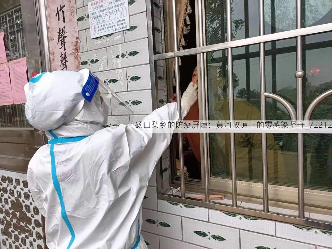砀山梨乡的防疫屏障：黄河故道下的零感染坚守_72212