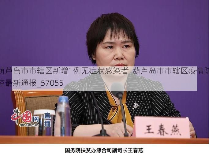 葫芦岛市市辖区新增1例无症状感染者  葫芦岛市市辖区疫情防控最新通报_57055