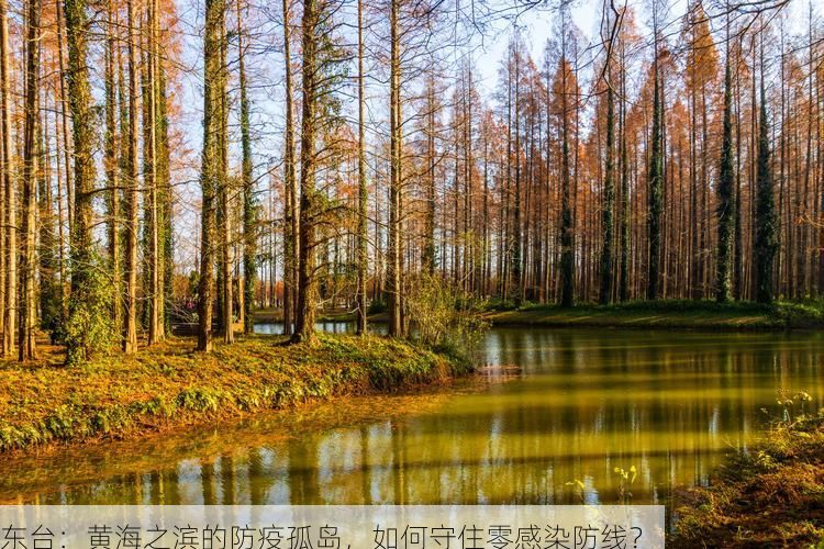 东台：黄海之滨的防疫孤岛，如何守住零感染防线？