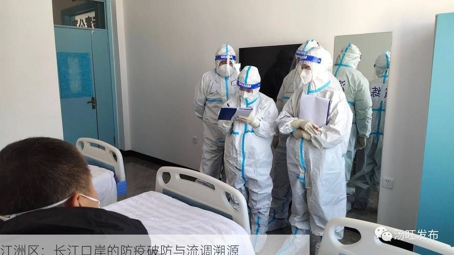江洲区：长江口岸的防疫破防与流调溯源