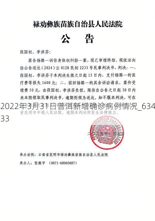 2022年3月31日普洱新增确诊病例情况_63433