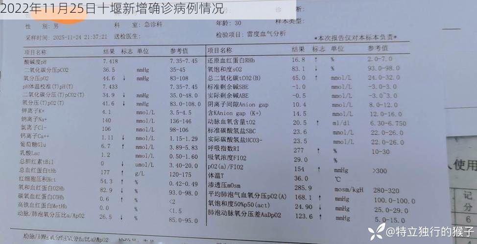 2022年11月25日十堰新增确诊病例情况