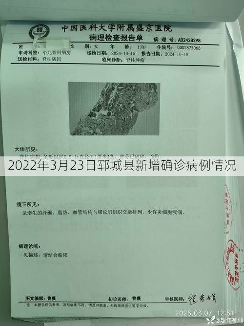 2022年3月23日郓城县新增确诊病例情况