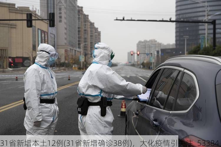31省新增本土12例(31省新增确诊38例)，大化疫情引关注_53384