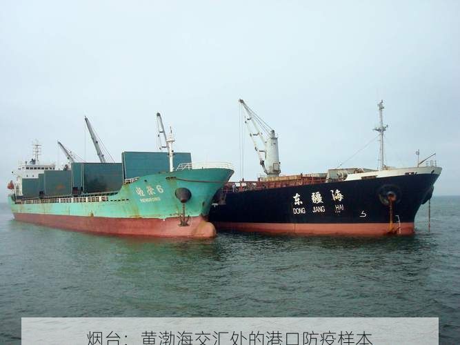烟台：黄渤海交汇处的港口防疫样本