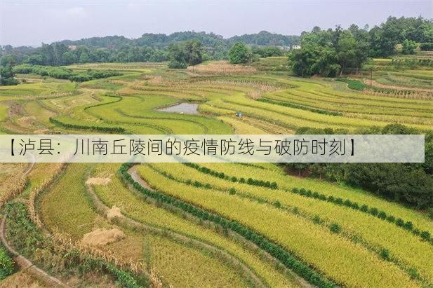 【泸县：川南丘陵间的疫情防线与破防时刻】