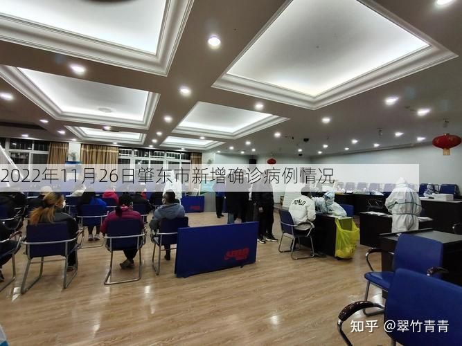 2022年11月26日肇东市新增确诊病例情况