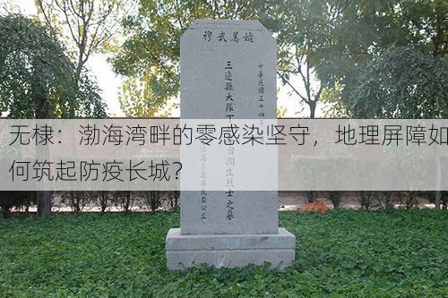 无棣：渤海湾畔的零感染坚守，地理屏障如何筑起防疫长城？