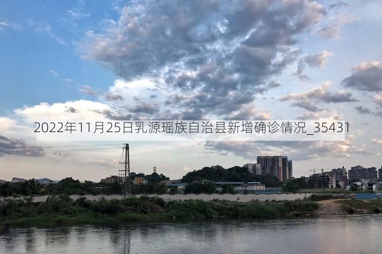 2022年11月25日乳源瑶族自治县新增确诊情况_35431