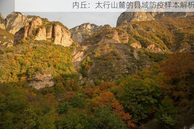 内丘：太行山麓的县域防疫样本解析