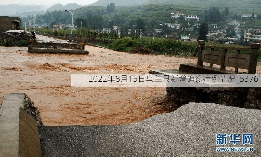 2022年8月15日乌兰县新增确诊病例情况_53761