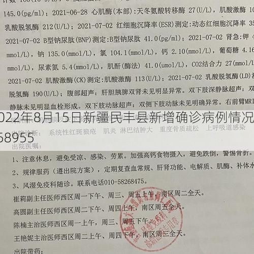2022年8月15日新疆民丰县新增确诊病例情况_58955