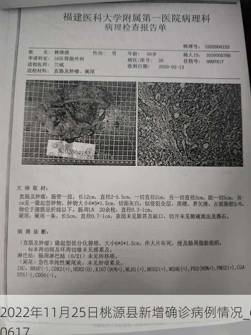 2022年11月25日桃源县新增确诊病例情况_60617