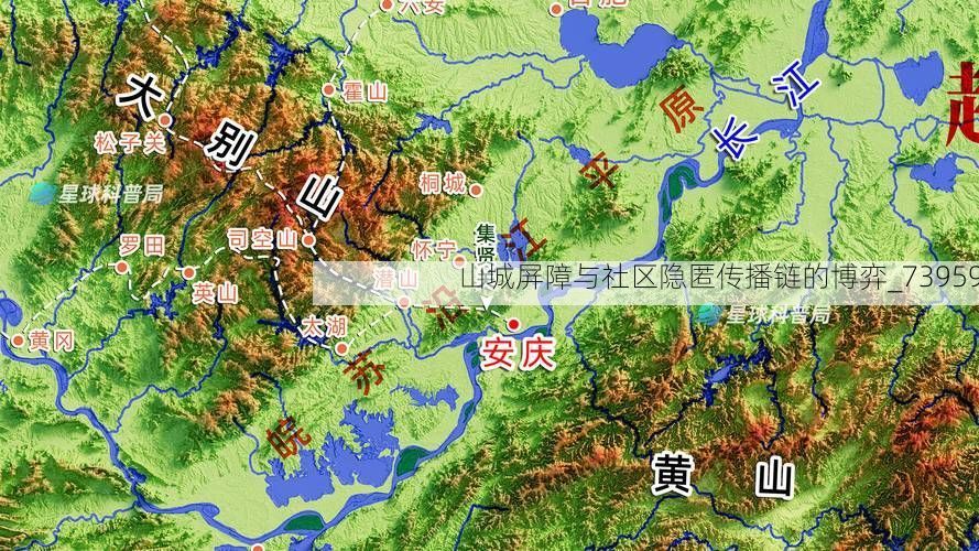 山城屏障与社区隐匿传播链的博弈_73959