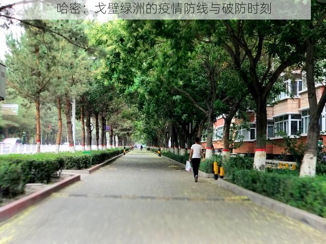 哈密：戈壁绿洲的疫情防线与破防时刻